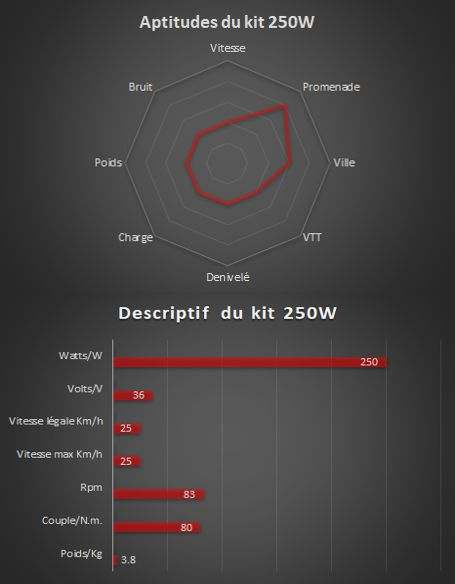 250w - Kompletter Elektrosatz Bafang