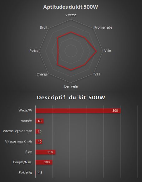 500W - Kompletter Elektrosatz